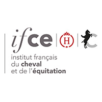 Coho Ifce Institut Francais Cheval Equitation