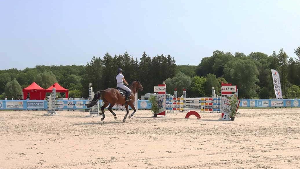 On a showground, a rider tackles an obstacle with her horse.