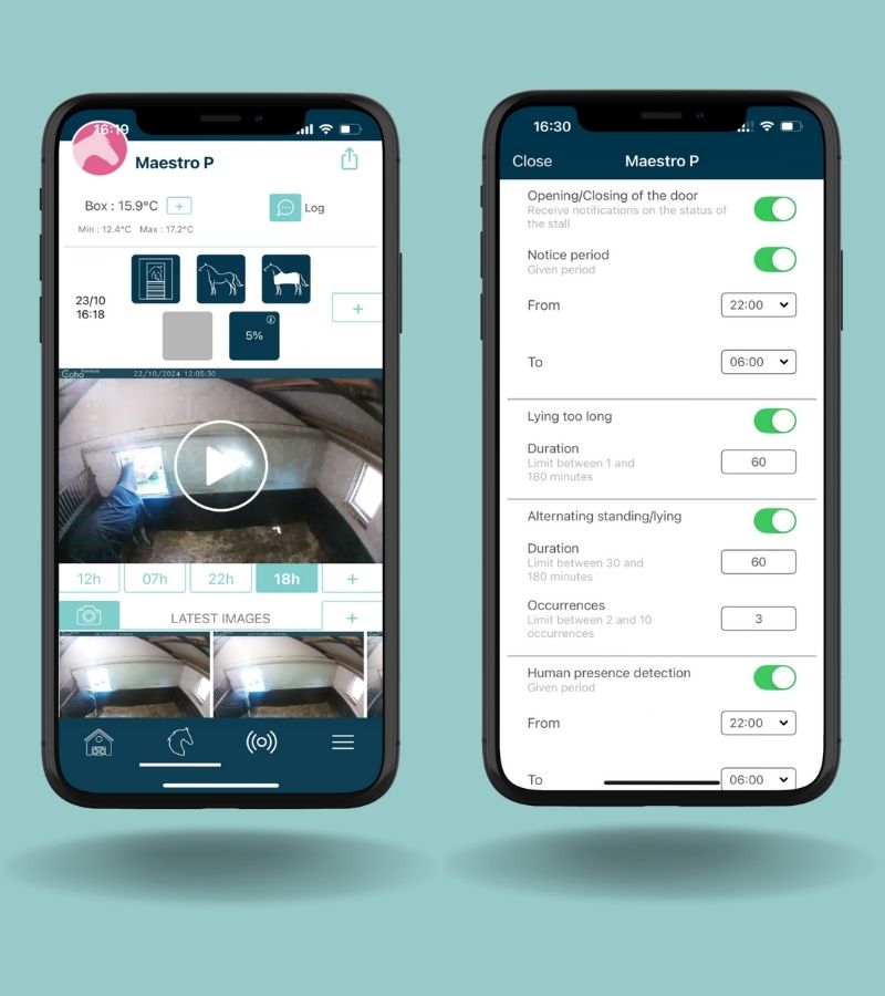 Coho 4G paarden camera stal camera AI paarden horses cheval pferde