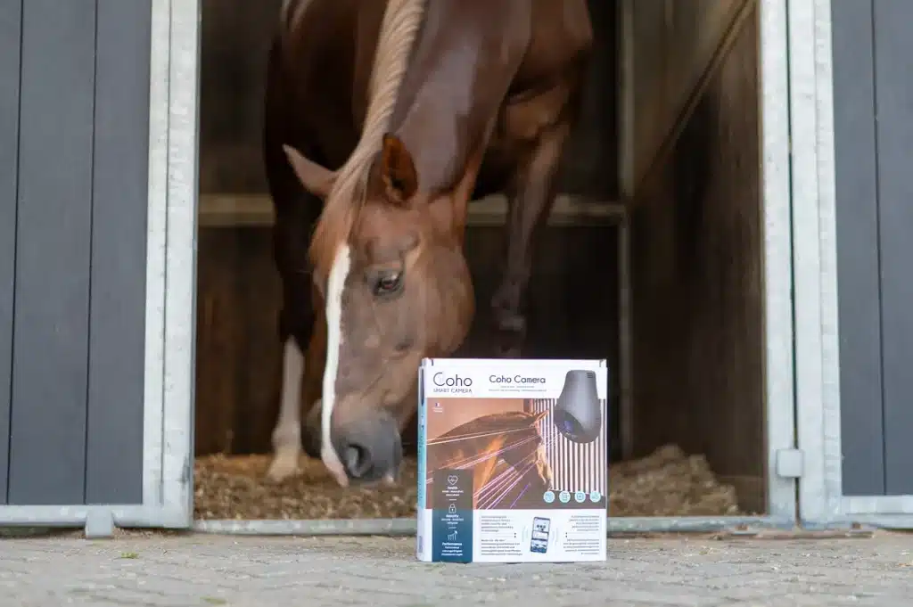 Coho 4G camera AI paarden horses cheval
