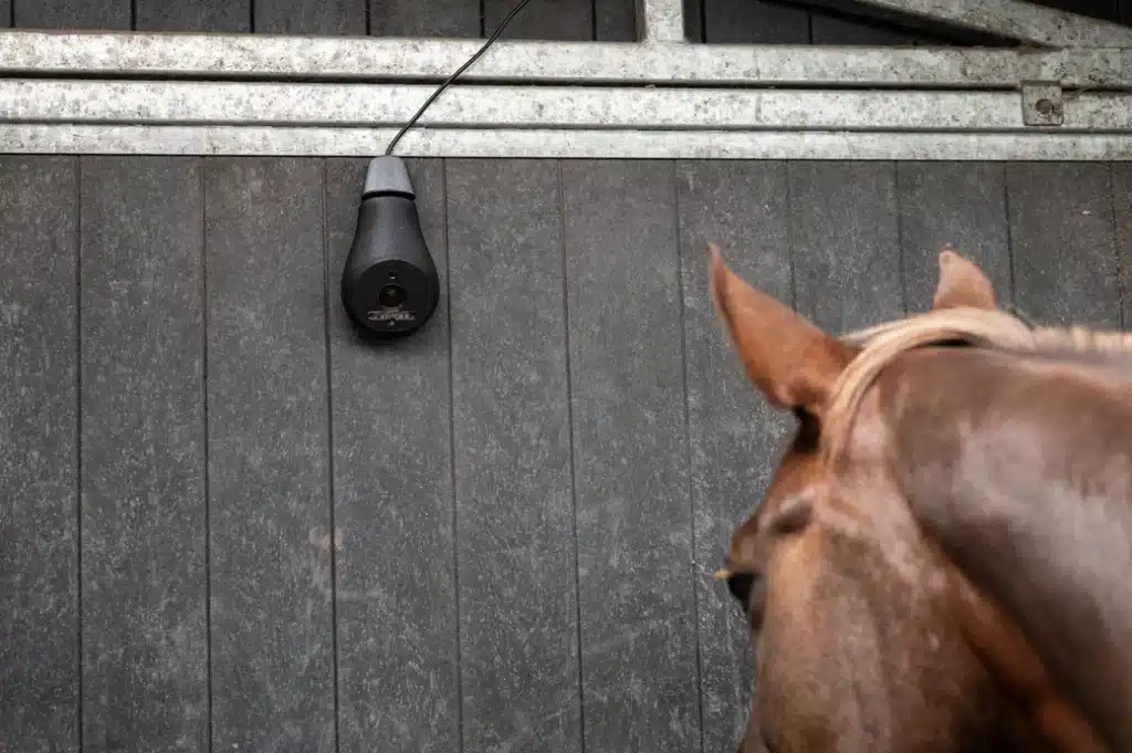 Coho 4G camera AI paarden horses cheval