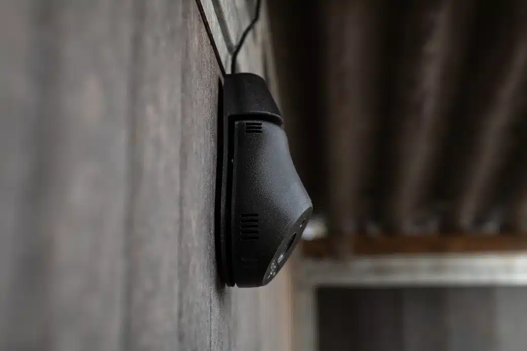 Coho 4G camera AI paarden horses cheval pferde