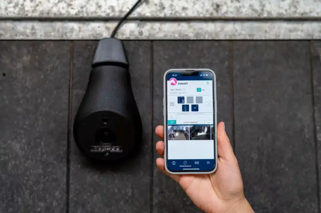 Coho 4G camera AI paarden horses cheval pferde
