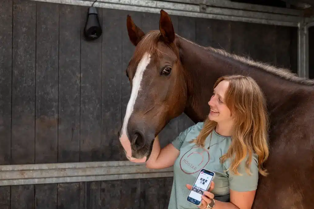 Coho 4G camera AI paarden horses cheval pferde