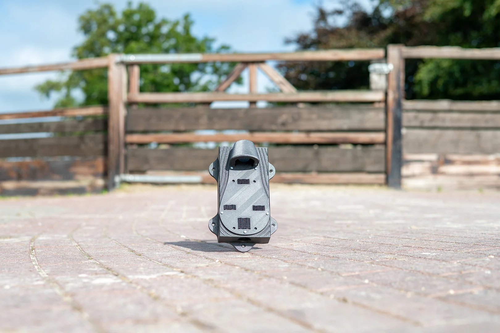 Coho 4G paarden camera stal camera AI paarden horses cheval pferde