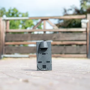Coho 4G paarden camera stal camera AI paarden horses cheval pferde