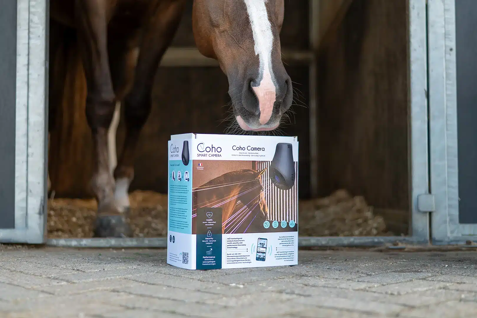 camera coho 4g camera paarden cheval horse