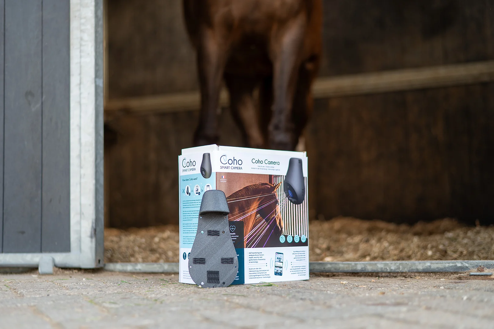 Coho 4G paarden camera stal camera AI paarden horses cheval pferde