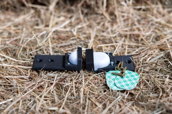 Coho 4G paarden camera stal camera AI paarden horses cheval pferde deursensor