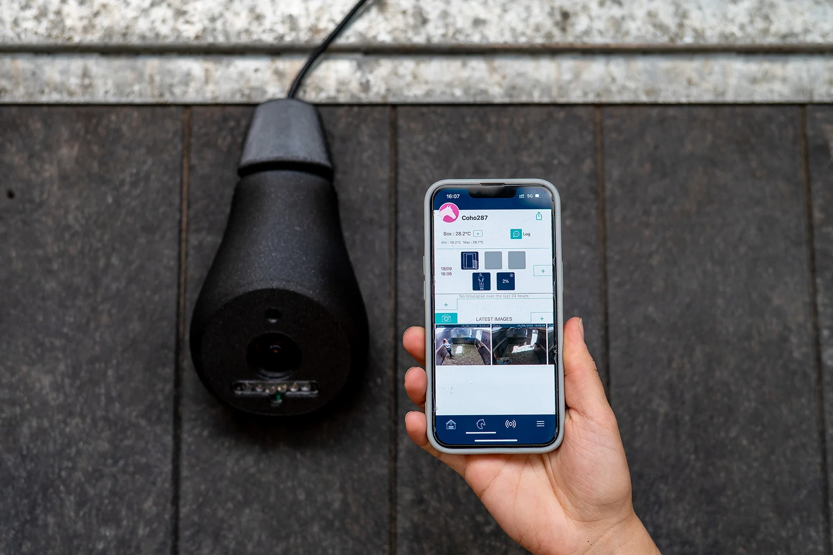 Coho 4G paarden camera stal camera AI paarden horses cheval pferde